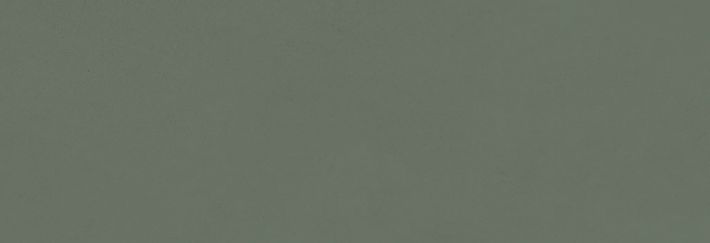 Плитка настенная Rotterdam Salvia 28,5x85,5