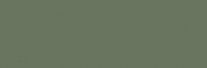 Фото Colours Forest 33x100