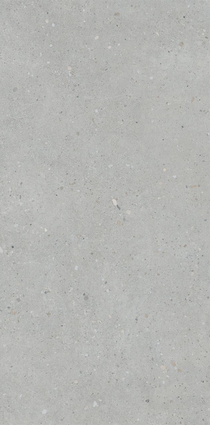 Плитка универсальная K947893R0001VTSP FlakeCement Серый Матовый R10A Ректификат 60x120 9мм