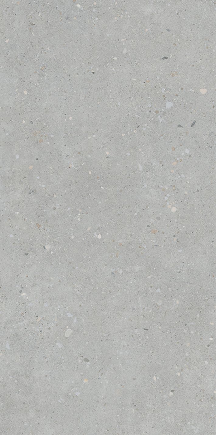 Плитка универсальная K947893R0001VTSP FlakeCement Серый Матовый R10A Ректификат 60x120 9мм