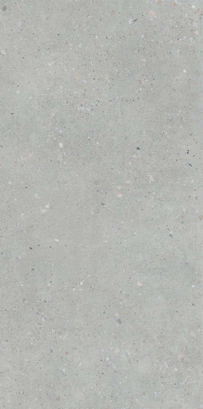 Плитка универсальная K947893R0001VTSP FlakeCement Серый Матовый R10A Ректификат 60x120 9мм