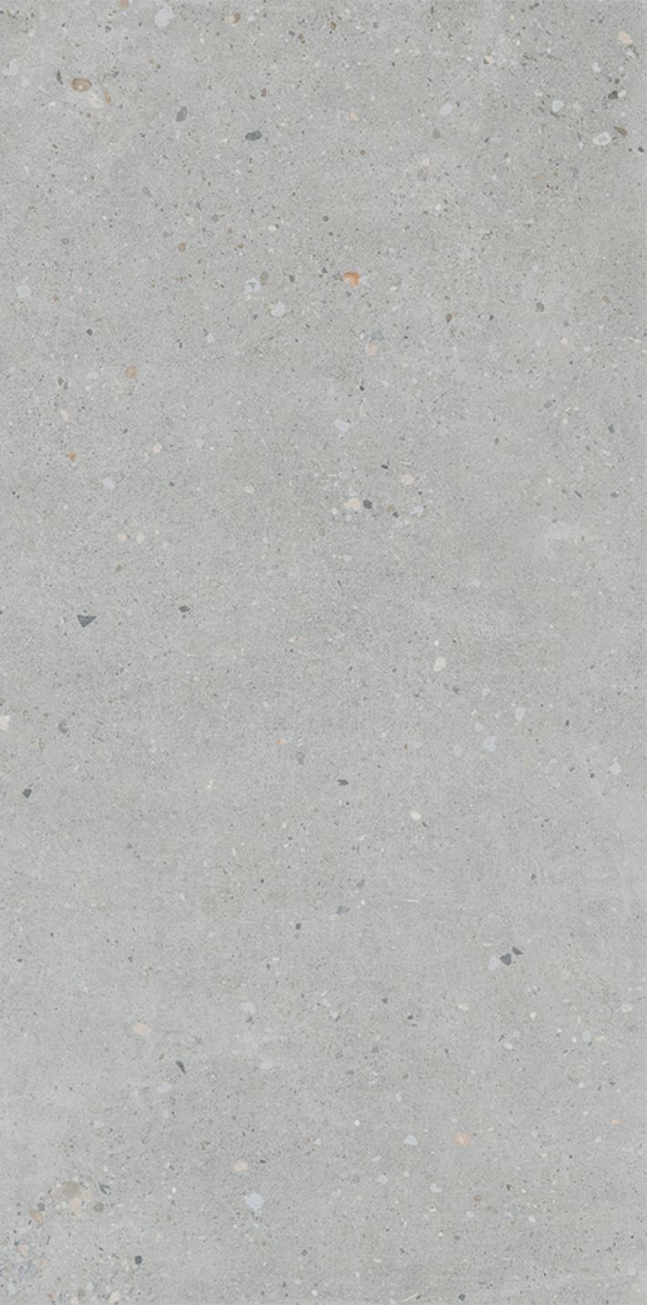 Плитка универсальная K947893R0001VTSP FlakeCement Серый Матовый R10A Ректификат 60x120 9мм