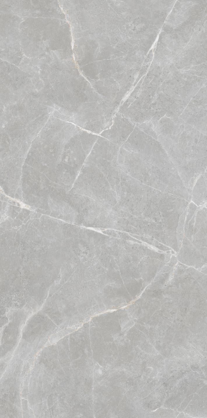 Фото Patricia Grey 60x120 Matt