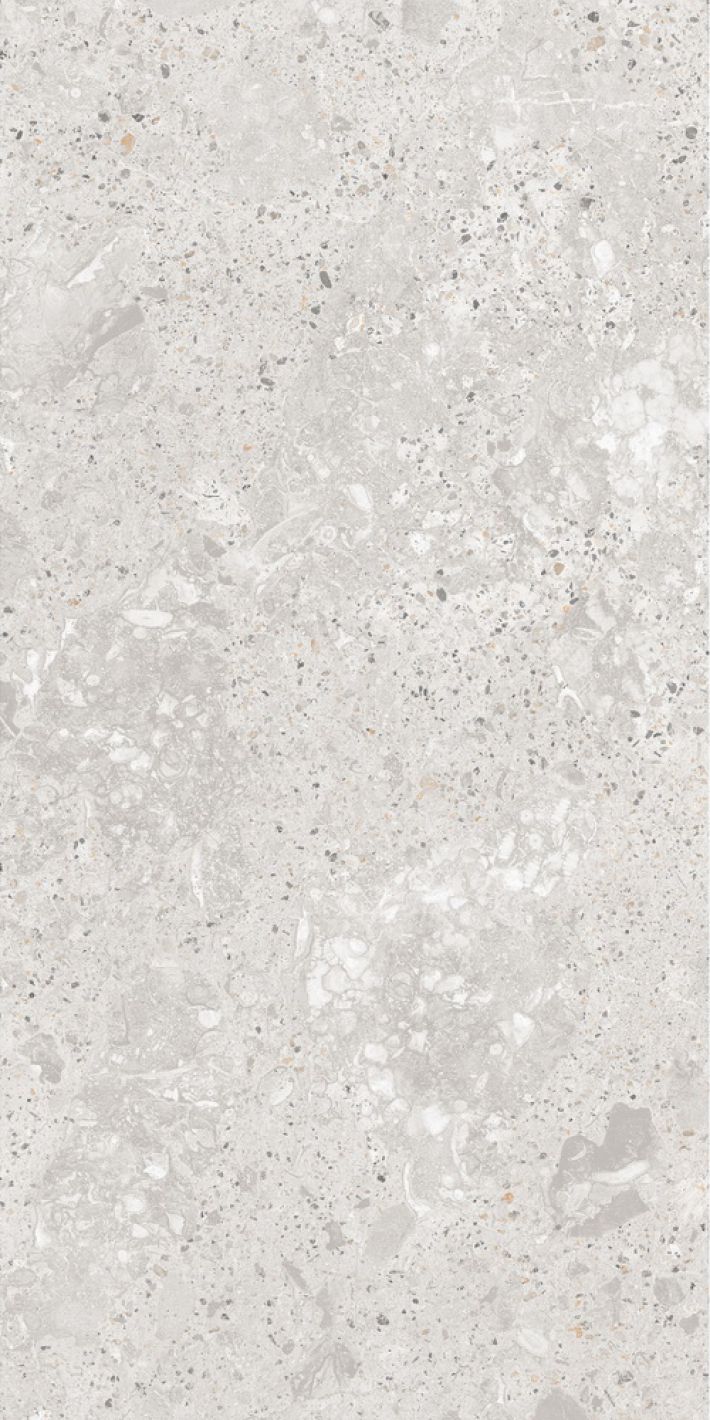 Фото Roma Gris Carving Satin 60x120