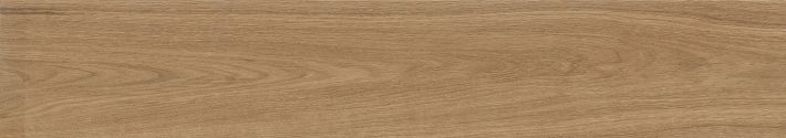Фото Forest Palm 20x120 Matt