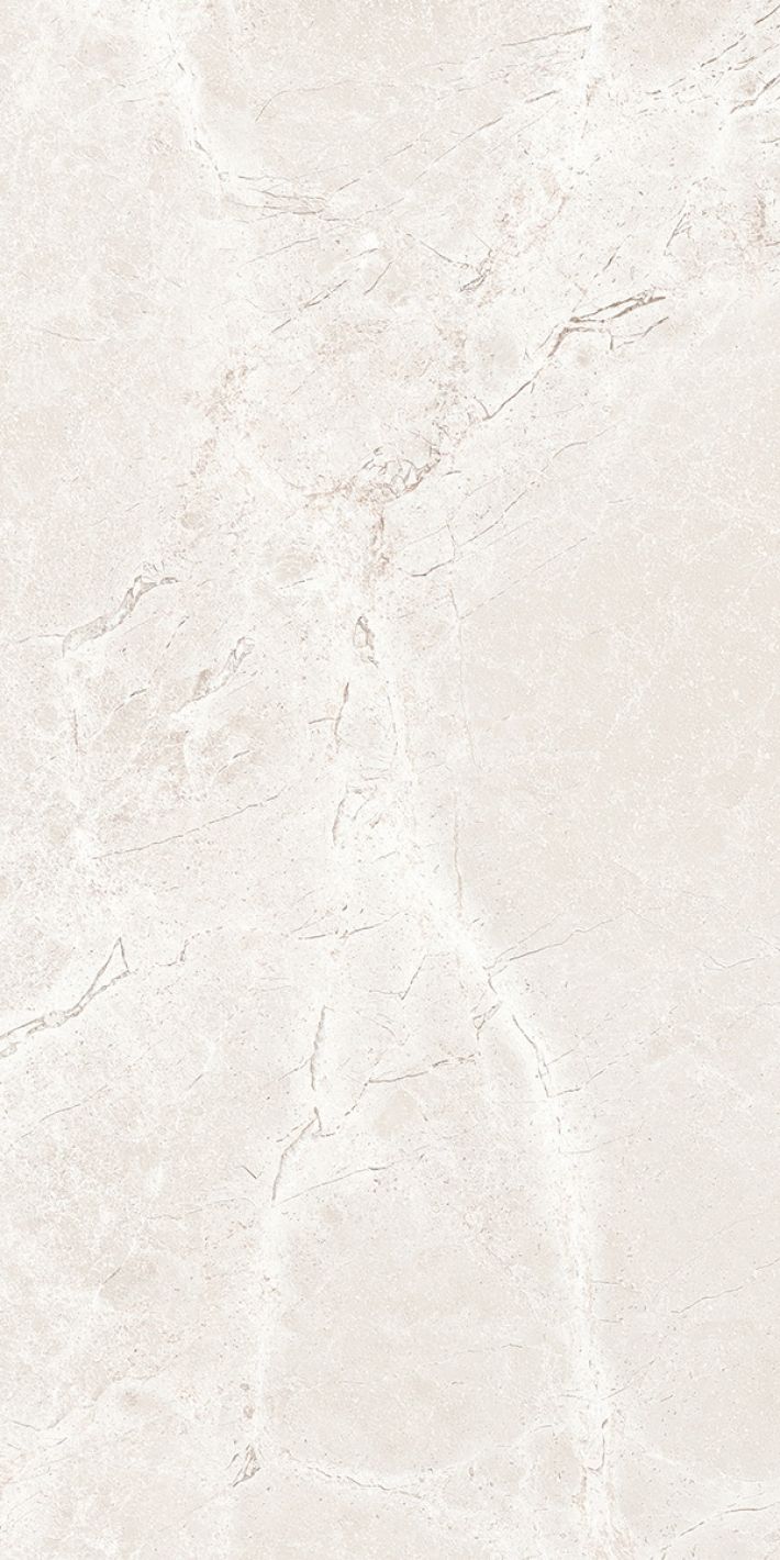Плитка универсальная Iconic Dew 60x120